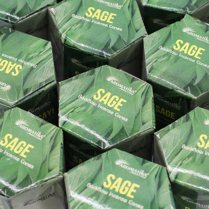 Masala Backflow Incense pack of 10 - Sage