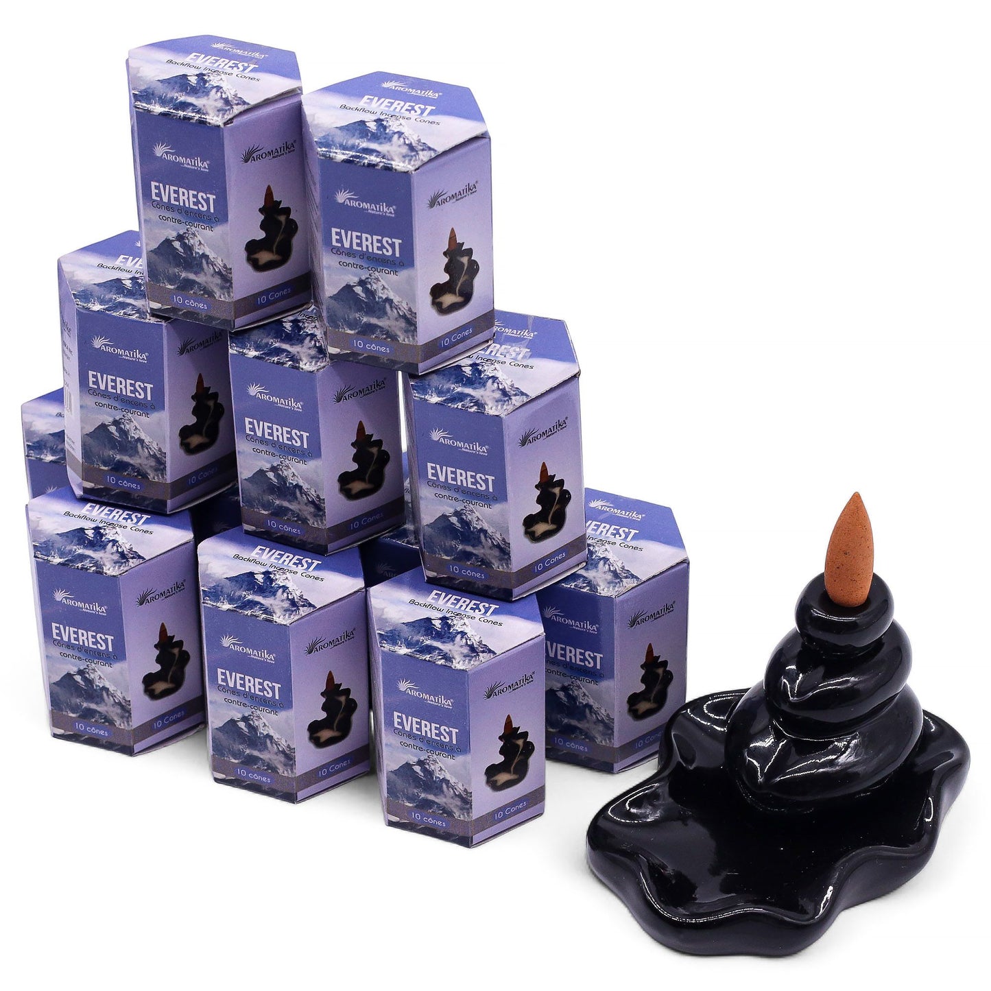 Masala Backflow Incense pack of 10 - Everest