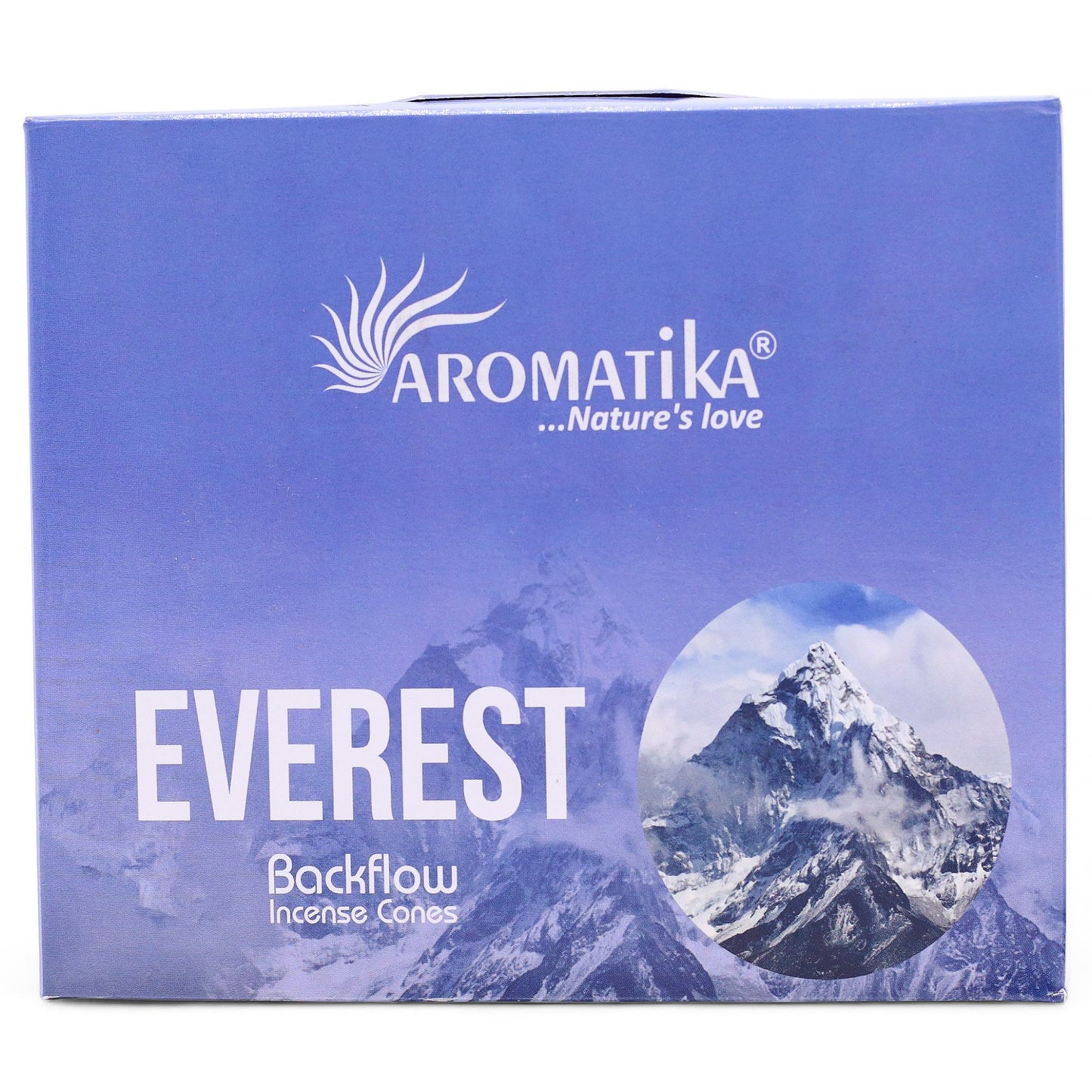 Masala Backflow Incense pack of 10 - Everest